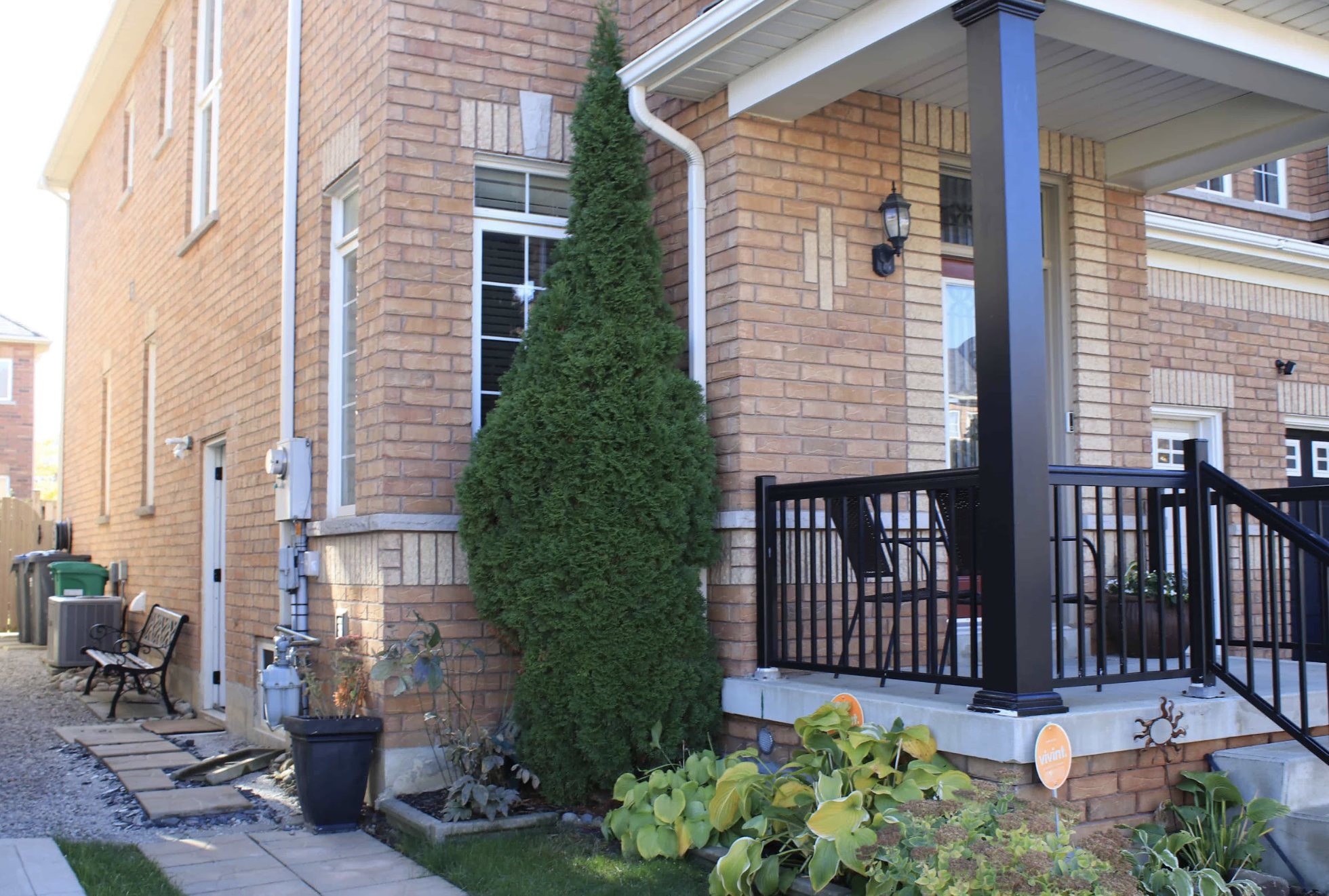 Screenshot 2025-06-17 at 11.13.07 AM